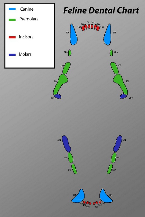 Placeholder Picture